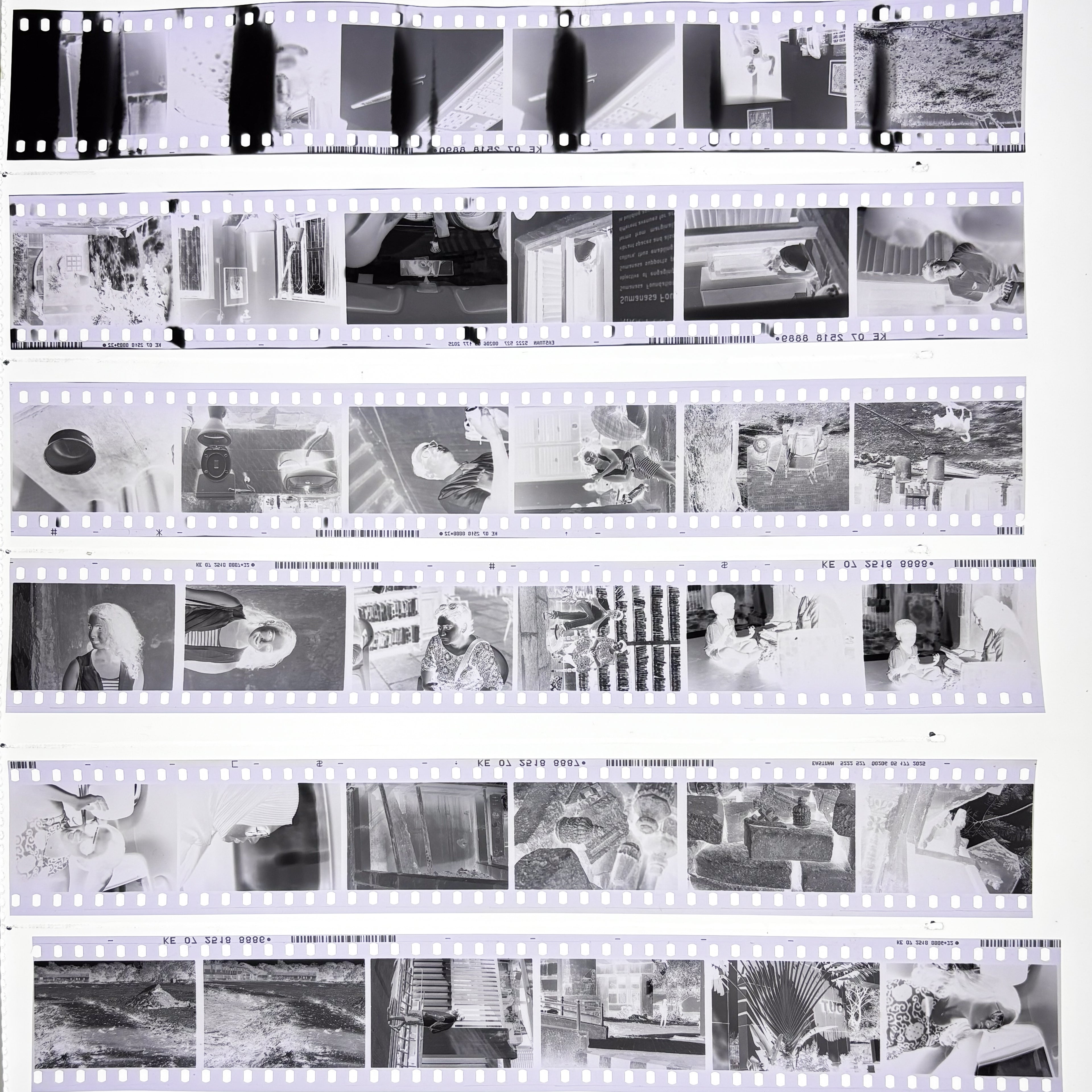 Black and White Film Processing | Scanning | Printing