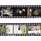 E6 Colour Positive Slide Film Processing | Scanning | Printing