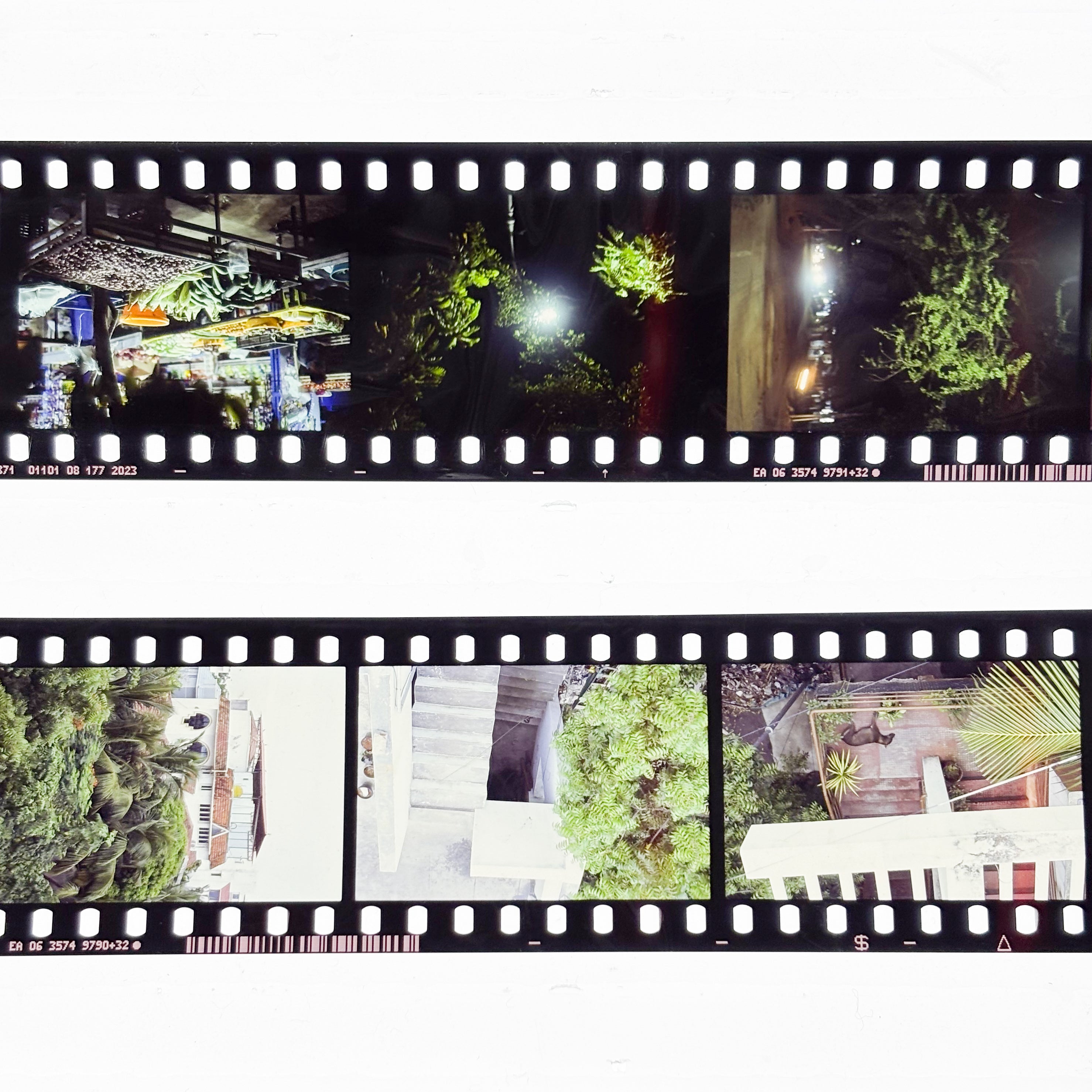E6 Colour Positive Slide Film Processing | Scanning | Printing