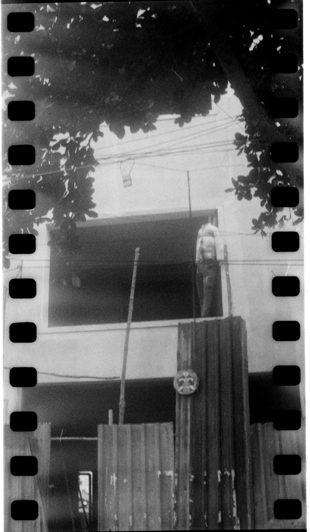 Rolleicord | Medium Format TLR Film Camera | Rated (7/10)