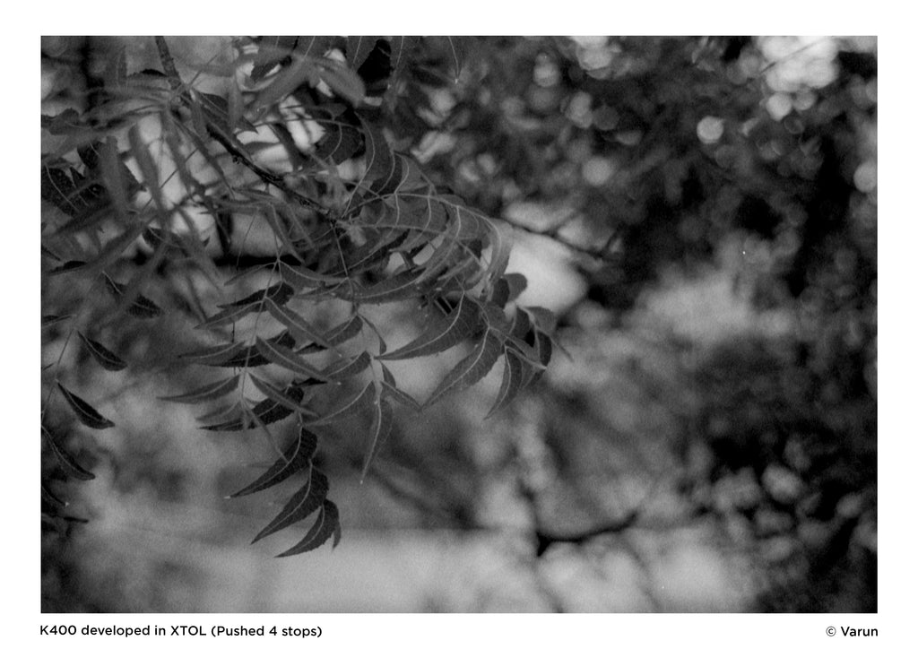 Black and White Film Processing | Scanning | Printing