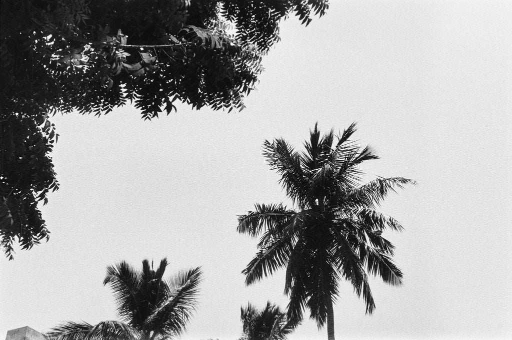 Nikomat EL | SLR Film Camera | Good