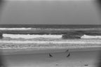 Canon EOS 750 | SLR Film Camera | Fair