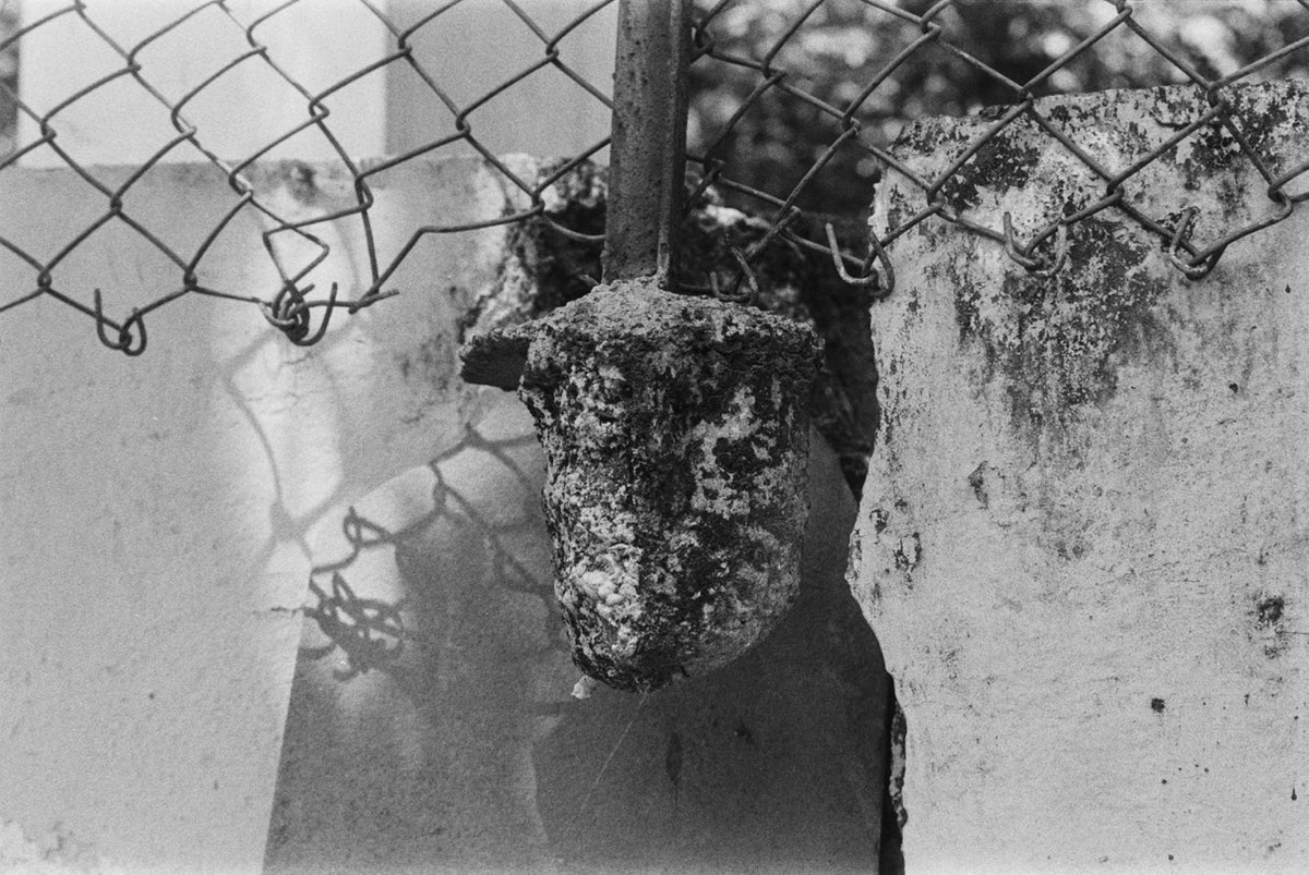 Nikomat EL | SLR Film Camera | Good