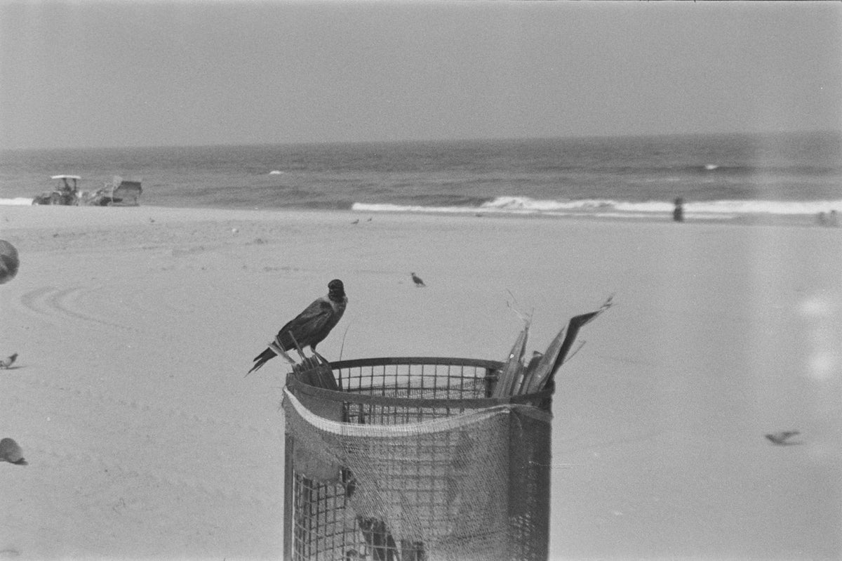 Nikon F75 | SLR Film Camera | Good