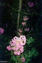 Kodak KB 10 | Point and Shoot Film Camera | New