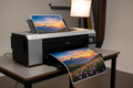 Full Roll - Inkjet Prints